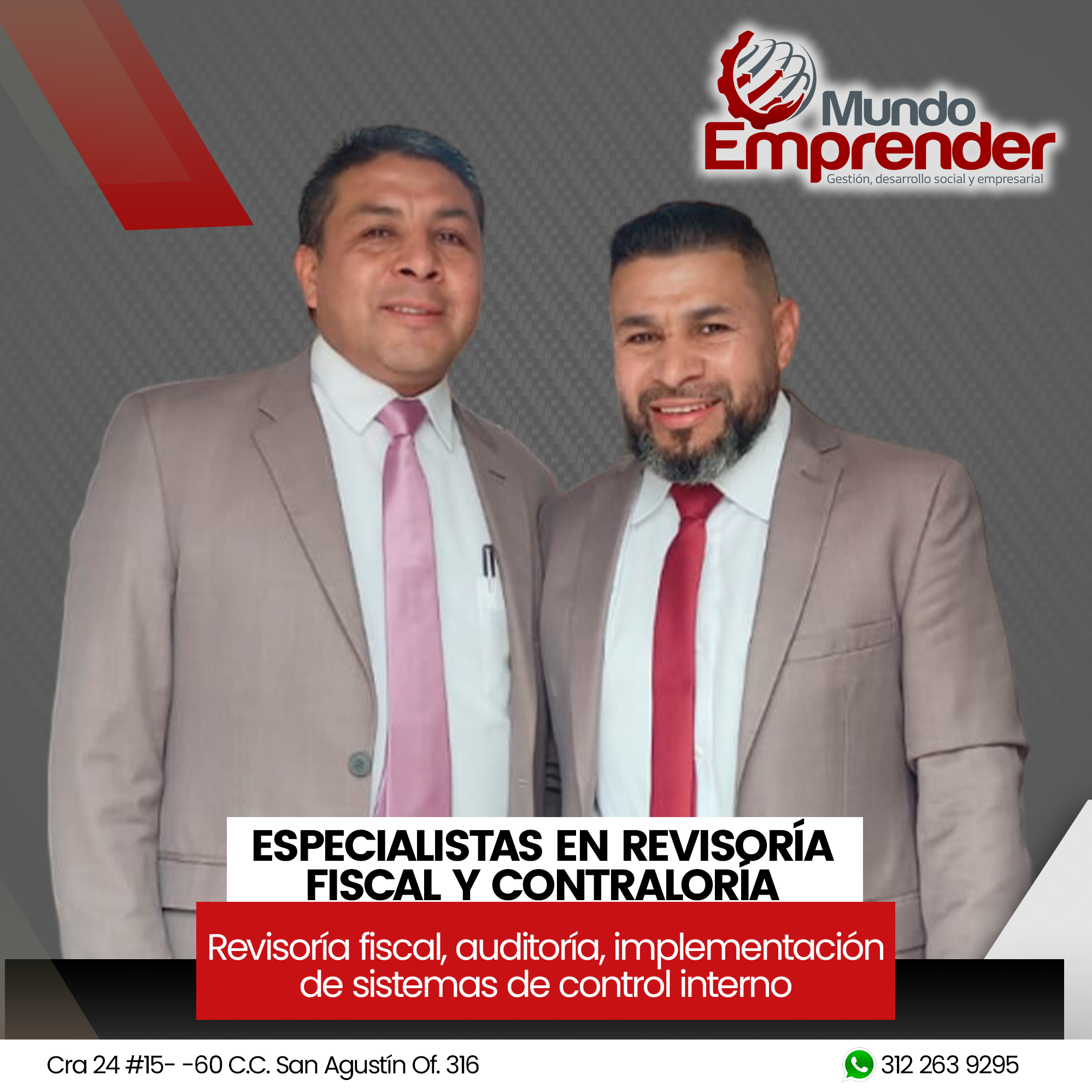Revisoria fiscal y auditoria