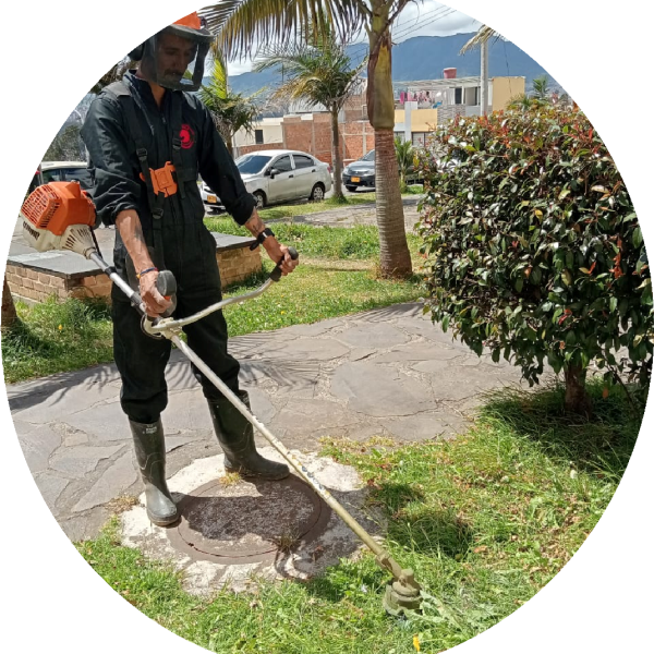 Imagen8
